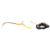 Sony Shutter (Sh1710) - 1-492-817-13
