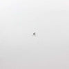 Sony Screw(1.7x4), Tapping, P2 - 3-078-890-11