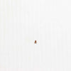 Sony Screw(M2), New Truster, P2 - 2-891-494-11