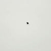 Sony Screw B1.2 - 3-086-156-51