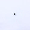 Sony BT 10 1.7X4 GR-301 - 3-299-961-01
