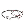 Sony Harness Assembly (Main) - 1-910-111-51