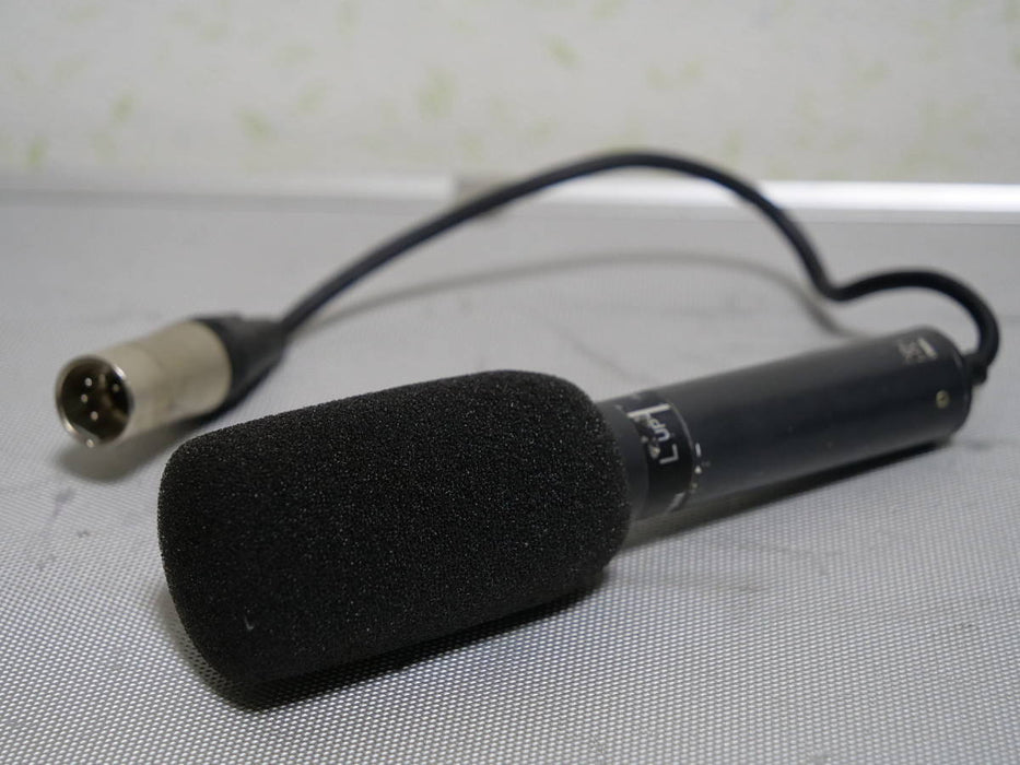 Sony Microphone (Stereo) - 1-542-823-14