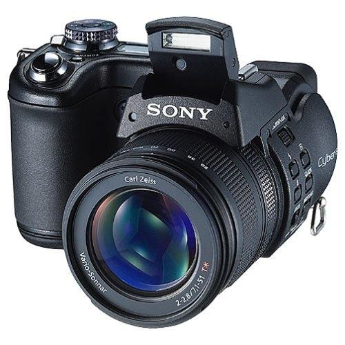 Sony DSCF828