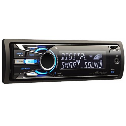 Sony DSXS100
