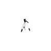 Sony Vctd480rm Tripod With Remote, Acc And Lanc